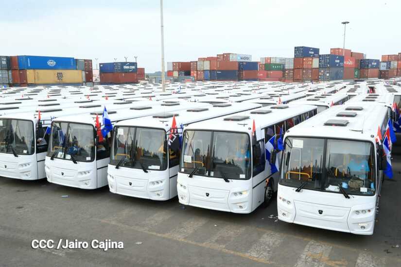 BUSES